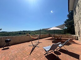 Wine Apartments Florence Lawrence