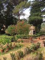 Wine Apartments Florence Lawrence