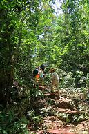 Kibayo Lagoon Villa With Palm Tree Garden Lagoon