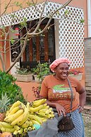 Kibayo Lagoon Villa With Palm Tree Garden Lagoon