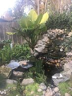 Seq Parks-hot Tub Fire Pit Koi Pond Outdoor Kitch