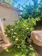 Seq Parks-hot Tub Fire Pit Koi Pond Outdoor Kitch