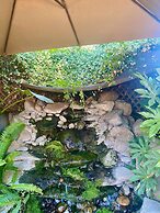 Seq Parks-hot Tub Fire Pit Koi Pond Outdoor Kitch