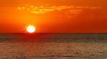 The Harbor Condo 308 - Premier