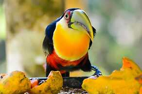 Pousada Jardim da Mantiqueira