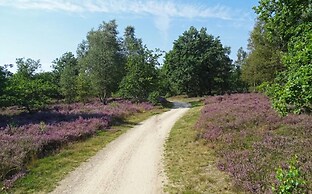 Villa in Forest With Private Sauna