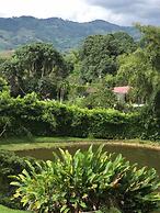 Eco Cabañas Green Eden