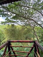 Eco Cabañas Green Eden