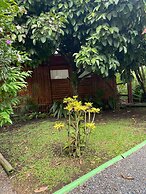 Eco Cabañas Green Eden