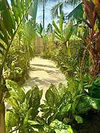 Villa Pura Vida Apartments Siargao