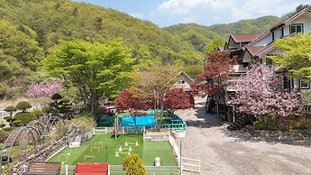 Gapeong Eoneunal Spa Pet Pension