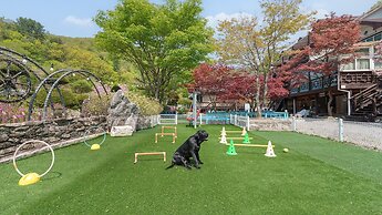 Gapeong Eoneunal Spa Pet Pension