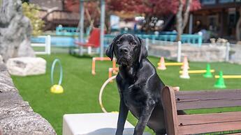 Gapeong Eoneunal Spa Pet Pension