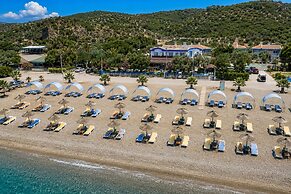 Blue Park Assos