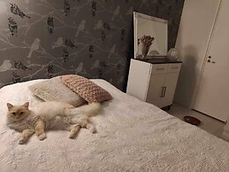 Cozy Forest Retreat in Kuopio - Perfect for Families & Work Trips