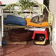 Ripe's Forest Garden Guest House
