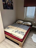 Large Accommodation for up to 18 People Near Halle & Leipzig With Pool