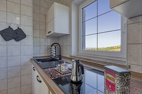 Neda Apartment In Krasno Among Vineyards