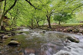 Elk Rapids On Cosby Creek 3 Bedroom Cabin