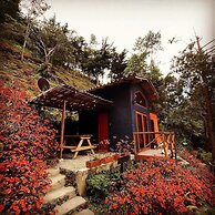 Finca Montaña Magica
