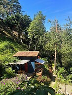 Finca Montaña Magica