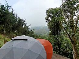 Finca Montaña Magica