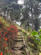Finca Montaña Magica
