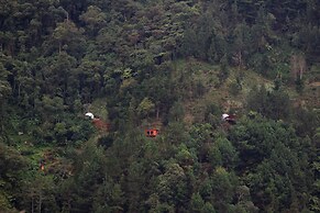 Finca Montaña Magica