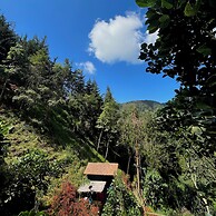 Finca Montaña Magica