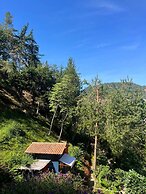 Finca Montaña Magica