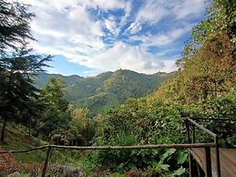 Finca Montaña Magica