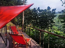 Finca Montaña Magica
