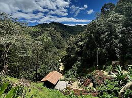 Finca Montaña Magica