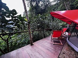Finca Montaña Magica