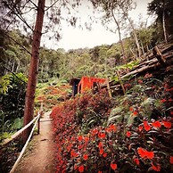 Finca Montaña Magica