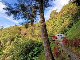 Finca Montaña Magica
