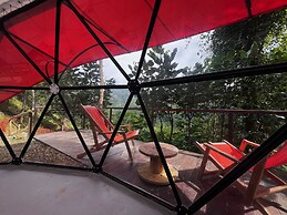 Finca Montaña Magica