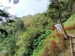 Finca Montaña Magica