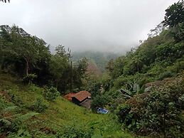 Finca Montaña Magica