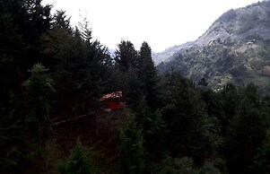 Finca Montaña Magica