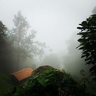 Finca Montaña Magica