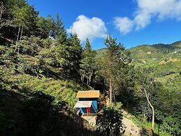 Finca Montaña Magica