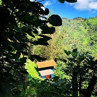 Finca Montaña Magica