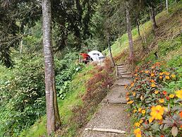 Finca Montaña Magica