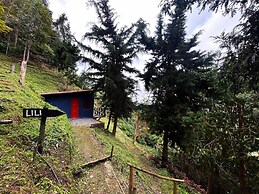 Finca Montaña Magica