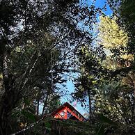 Finca Montaña Magica