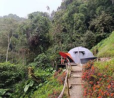 Finca Montaña Magica