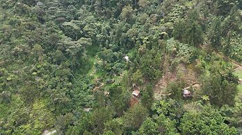 Finca Montaña Magica