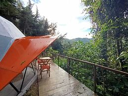 Finca Montaña Magica