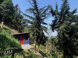 Finca Montaña Magica